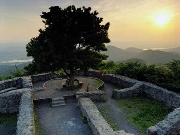 Der ca. 150 Jahre alte Feld-Ahorn am höchsten Punkt